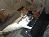 message file