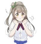 message file