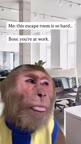 message file