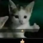 message file