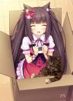 message file