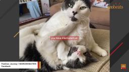 message file