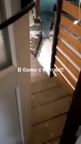 message file