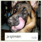 message file
