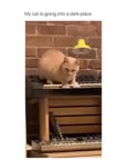 message file